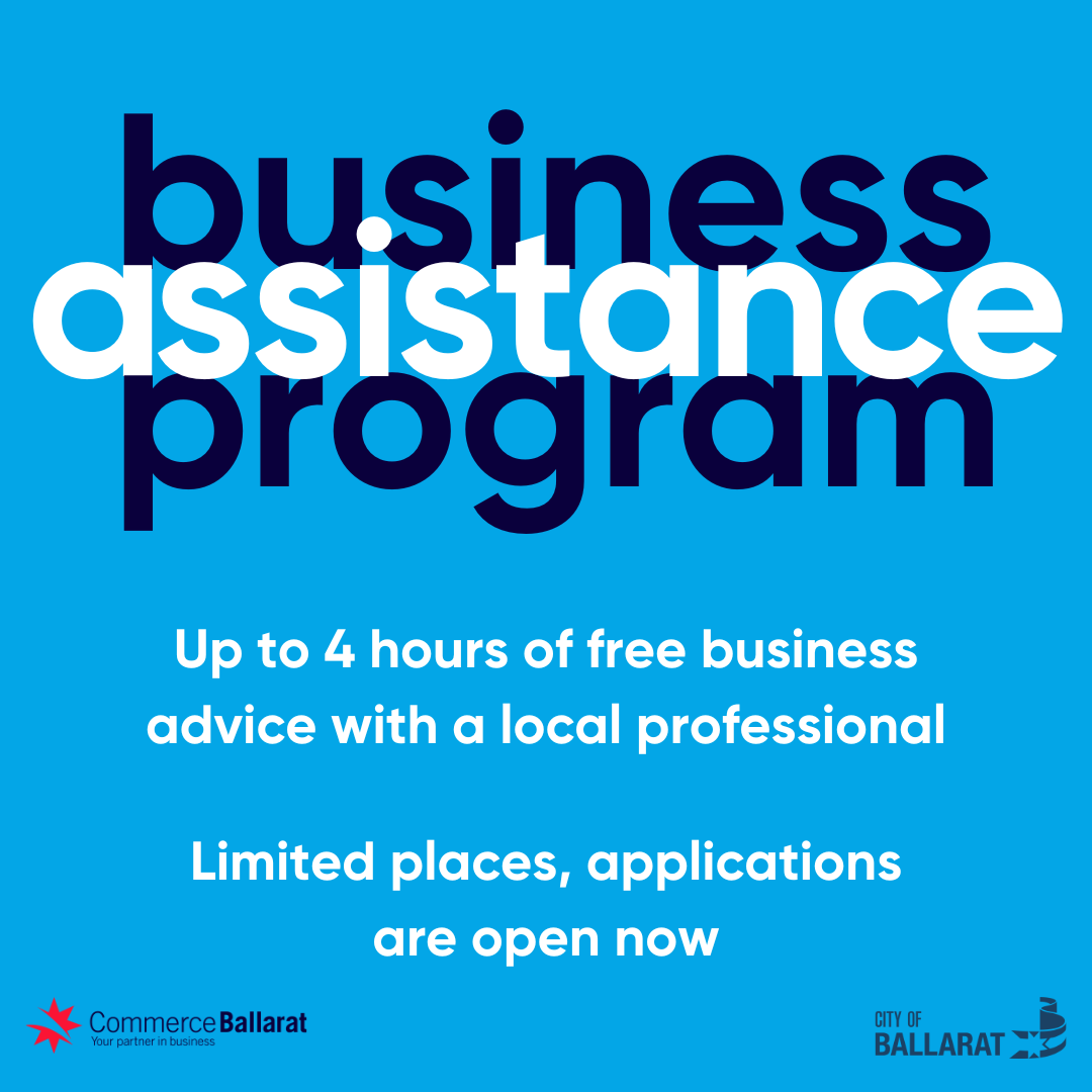 business assistance program