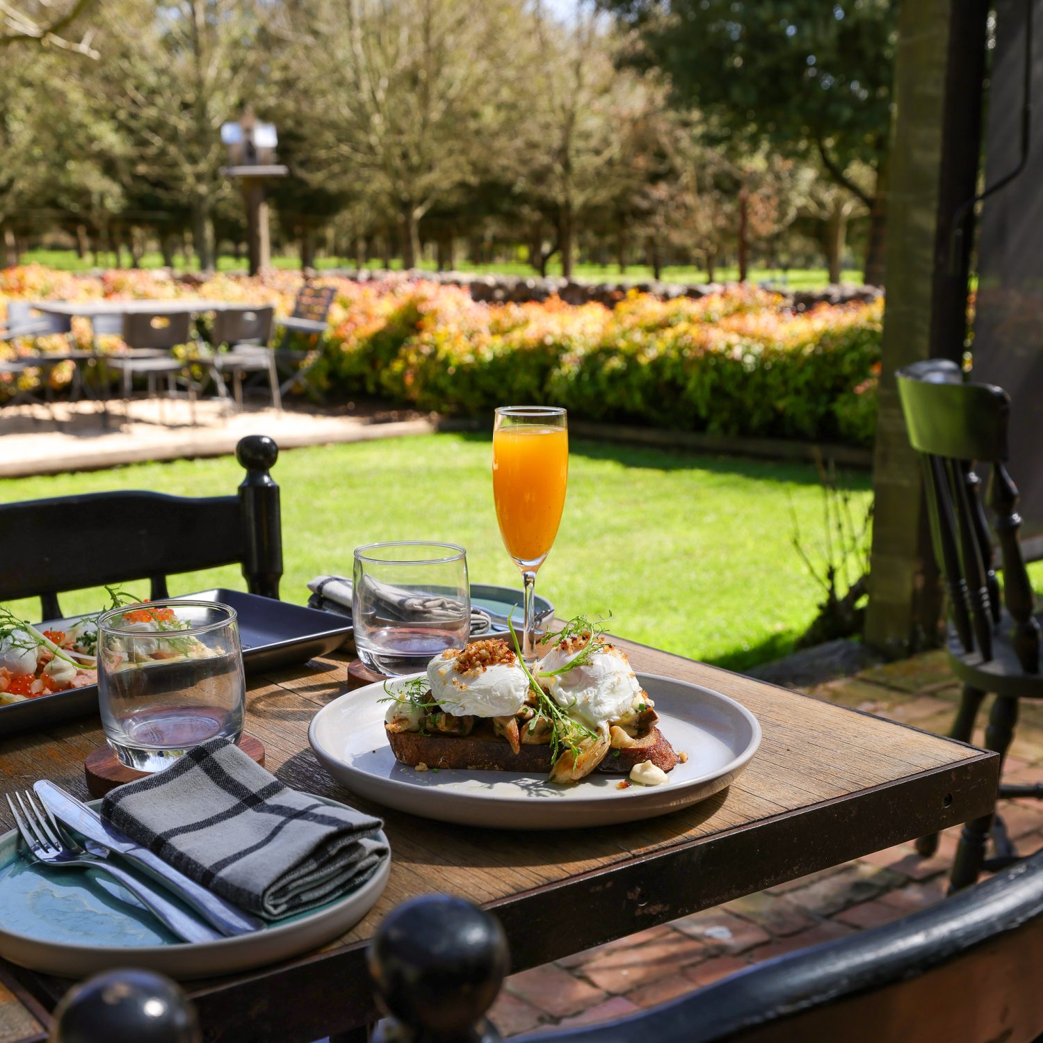 Brunch outdoors with poached eggs and orange juice.