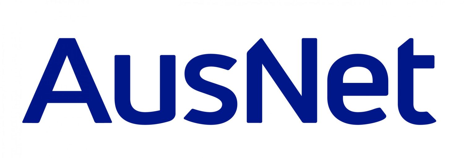 AusNet logo in blue text