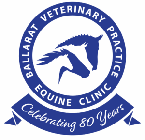 Ballarat Veterinary Practice Equine Clinic 80th Anniversary