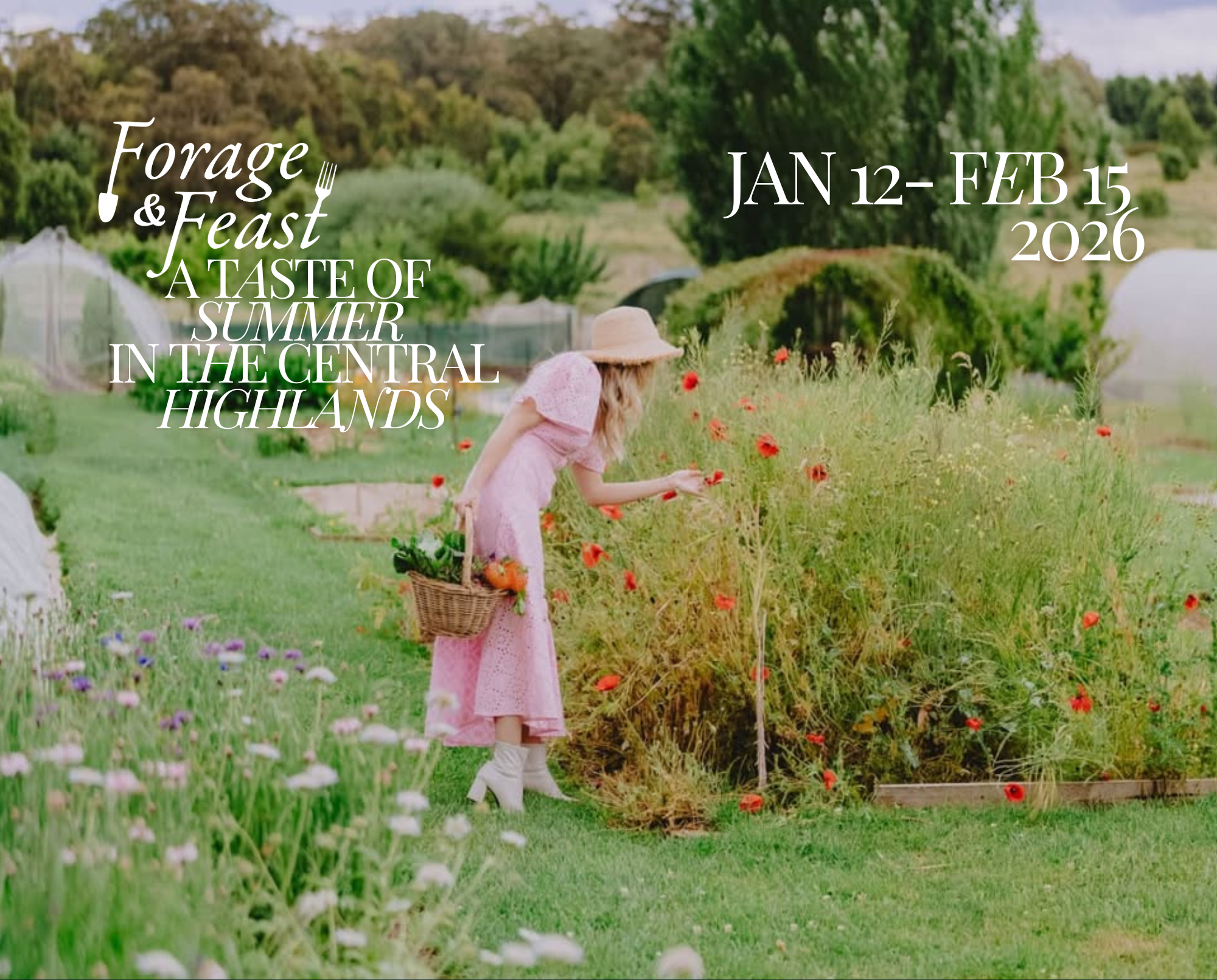 Woman picking flowers in Central Highlands garden